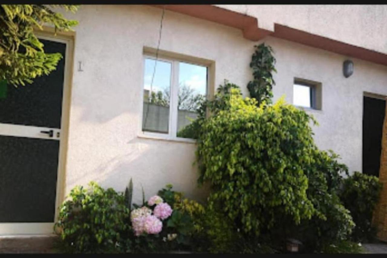 Wib Guesthouse Addis Ababa Ngoại thất bức ảnh